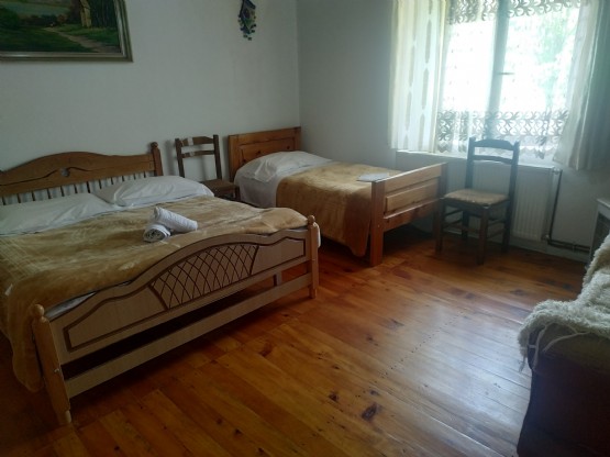 Akomodim Te Hotel Alpini, Dhoma e Lahutes Hotel Alpini Lepushe, Bjeshket e Kelmendit Shkoder, Guesthouse Alpini Lepushe, Albania